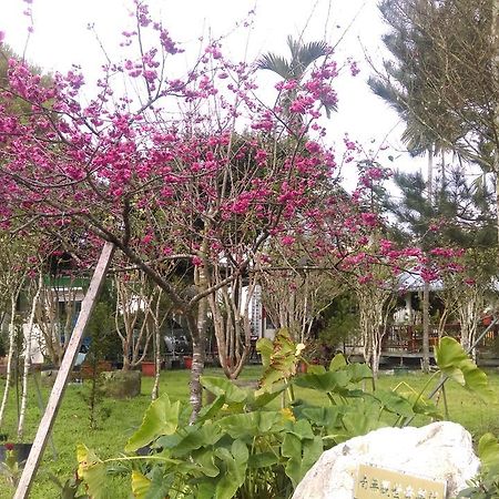 Sun Moon Lake Wild Flower Bed & Breakfast Yuchi Eksteriør bilde