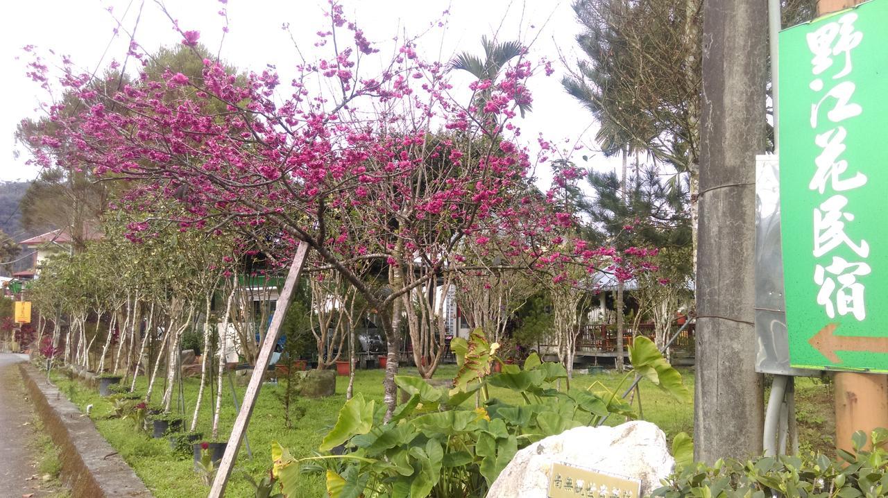 Sun Moon Lake Wild Flower Bed & Breakfast Yuchi Eksteriør bilde