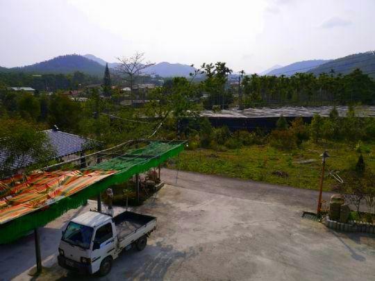 Sun Moon Lake Wild Flower Bed & Breakfast Yuchi Eksteriør bilde